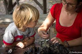 Check spelling or type a new query. Que Faire En Cas De 2 Les Infections Gastro Intestinales Partis Pour
