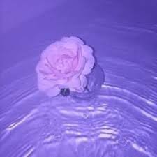 Purple violet magenta lavender majestic tyrian purple purplish. Everything Violet