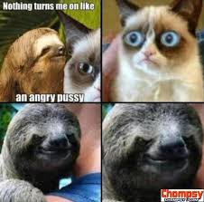 Grumpy Cat Is An Angry Pussy1 Grumpy Cat Cat Meeting Creepy Sloth