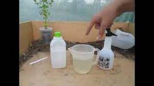 Get free best fly deterrent now and use best fly deterrent immediately to get % off or $ off or free shipping. How To Make A Simple Organic Insecticide Spray Aphids Blackfly Whitefly Etc Youtube