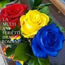 Chiar si google ne sarbatoreste. 94 La Multi Ani Romania Ideas Romani FelicitÄri ÈtiinÈe Sociale