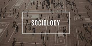 sociology degree