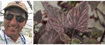 Top GPN Columns of 2022