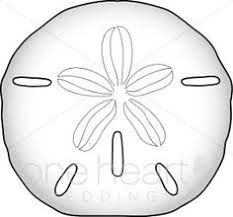 Like sea urchins, they are covered with spines, but a sand dollar's spines are soft and fine, more like a velvety fur. 10 Sand Dollar Ideas Sand Dollar Sand Clip Art