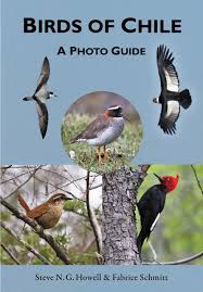 Birds Of East Texas Book Review Birds Of Chile A Photo Guide Buy Birds Bird Book Photo