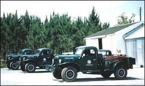 Image result for Forest Green 1946 Truck