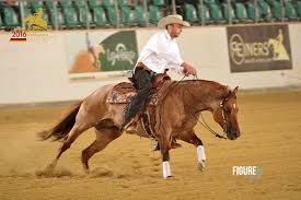 We look forward to the cactus (reining classic). Www Wittelsbuerger Com Reining Forum