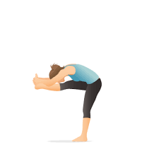 Yoga Pose Standing Head To Knee Cartilha
