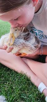 Melissa Mccranie's Instagram, Twitter & Facebook