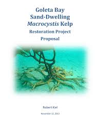 Sand Dwelling Kelp Restoration Project Proposal 11 12 13 By