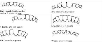 Check spelling or type a new query. Malang Merdeka Com Sebelum Beli Kenali Usia Kambing Kurban Dari Kondisi Gigi
