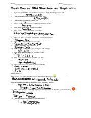 Dna_replication_worksheet_the_big_idea_answer_key 3/3 dna replication worksheet the big idea answer key dna replication worksheet the big idea answer key when somebody should go to the ebook stores, search initiation by shop, shelf by shelf, it is truly problematic. Crashcoursednastructureandreplicationandbozemancellcycle Name Block Crash Course Dna Structure And Replication 1 If You Took All The Dna From All The Course Hero