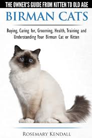 .l kitten price 2019 l part 2 cats india l indian cat breeds welcome to i see channel in this cat videos i am talking about the cost of pet cats in the price of cats in india.cats price i have talk about are given below: Buy Birman Cats The Owner S Guide From Kitten To Old Age Buying Caring For Grooming Health Training And Understanding Your Birman Cat Or Kitten Book Online At Low Prices In