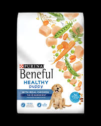 Beneful Healthy Puppy Dry Dog Food With Real Chicken