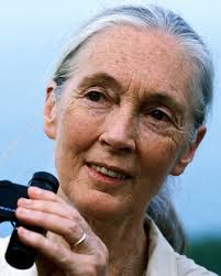 This week, we'll learn about the upcoming season for Red Deer Symphony  Orchestra, and the curtain will rise