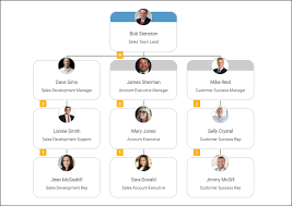 Sales Team Chart Example Organimi