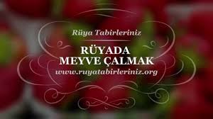 Ruyada Meyve Calmak Tabiri Ve Yorumu Meyve Yorum Ruya