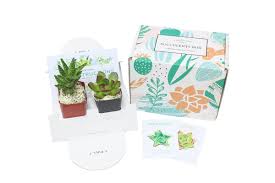 Plant subscription boxes have taken over in recent years, meaning that plant obsessives all over the uk can create their very own personal jungles each plant delivery comes with a gorgeous pot, a care guide and is safely packaged for its arrival. Best Plant Subscription Boxes For Every Gardening Lover