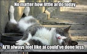 Lazy The Definition Cats Funny Cats Funny Cat Memes