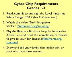 What is the buddy system? Keeping Youth Safe Online With The Cyber Chip Award Quick Quiz According To A 2010 Study How Many Hours Per Day Does The Typical American Child Spend Using Some Sort Of Electronic Device Such As A Cell Phone Television Or Computer The Answer