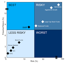 Risk Profile