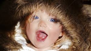 Stock Image Search Results