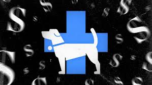 In the wesley chapel area with excellent services, dental, surgery & senior pet care. My Dying Dog S Vet Bill Put Me In Debt It Could Happen To You Vox