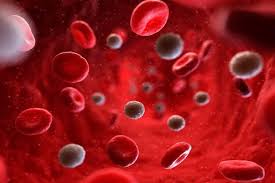 اعراض ارتفاع كريات الدم الحمراء مترجم