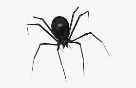 Drawing and coloring peppa pig for kids! Scary Spider Black Widow Over Black Surface Drawing Araignees Halloween Png Image Transparent Png Free Download On Seekpng