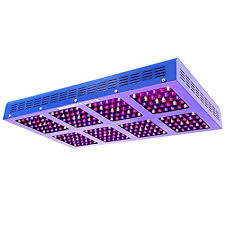 Grow lights are integral to the process of growing weed and growers need to make sure they are. Top 7 Best 1200 Watt Led Grow Lights Updated 2020