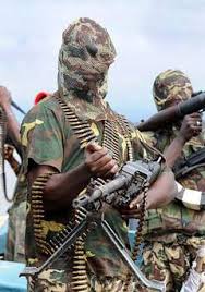 Militant islamist group boko haram has gained notoriety with the kidnapping over more than 200 schoolgirls in nigeria. Hintergrund Fakten Uber Boko Haram