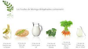 La Curcumine Et Le Moringa Oleifera Une Alliance Surpuissante Curcumine Curcuma Sante Curcuma Sante Moringa Oleifera Curcumine