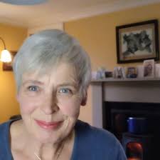 Aminopyralid herbicide persistence in soil and plants