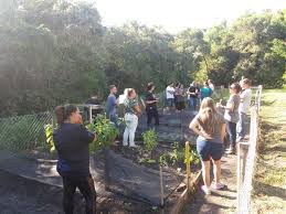 偷奸妈妈-秘密的放纵