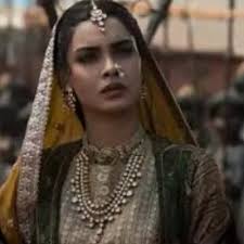 Chhaava On Netflix: Meet Zinat-un-Nissa ...