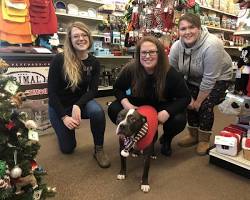 pet store staff giving advice to a customerの画像