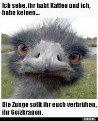 Ich Sehe Sie Haben Kaffee Und Ich Habe Keine Lustige Humor Bilder Lustige Bilder Lustige Cartoons