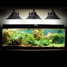 Biltek 80w Led Aquarium Flood Light Cool White High Power Fish Tank Lighting Reef Plant Decor Salt Fresh H2o Main Lighting Sub Lighting Fresh Water Tanks Salt Water Tanks Walmart Com