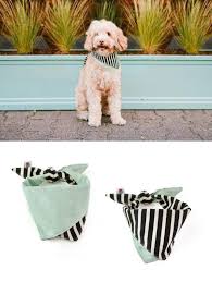 Pin On Wildebeest S Xx Dog Bandana Collars And Ties