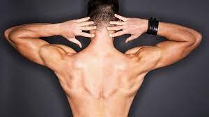 Pour éviter de cambrer le dos pendant que les muscles sont contractés durant l'exercice, je regarde le mur devant moi et non mes mains et je reste bien les talons au sol, hanches. Exercice Du Dos Sans Materiel Programme Pour Se Muscler A La Maison