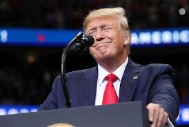 Image result for donald trump[