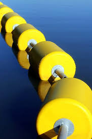 Black And Yellow Things Floating Yellow Things Blue Yellow Shades Of Yellow Lemon Yellow