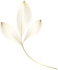 Gold Leaves Png Clipart Flower Art Drawing Flower Background Wallpaper Cherry Blossom Art