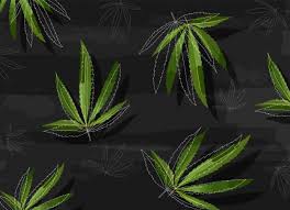 Resep buntil daun singkong bahan resep buntil daun singkong : Free Ganja Vectors 300 Images In Ai Eps Format