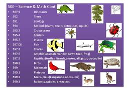 And that is a decimal number! The Dewey Decimal Classification System By Lori Applegate Ppt Download