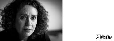 Poesía venezolana: Edda Armas