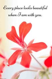 Every flower about a house certifies to the refinement of somebody. Romantic Good Morning Love Quotes For Him Best Collection