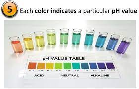 How to check ph of water. What Is Ph Of Water Methods Of Determining Ph Of Water