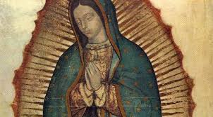 Our lady of guadaloupe represents the immaculate conception, revered devotional and inspirational 4x6 postcard, print, our lady of guadalupe, virgen de guadalupe, art print. Our Lady Of Guadalupe Franciscan Media