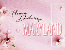 Hours may change under current circumstances The 6 Best Options For Flower Delivery In Topeka Kansas 2021